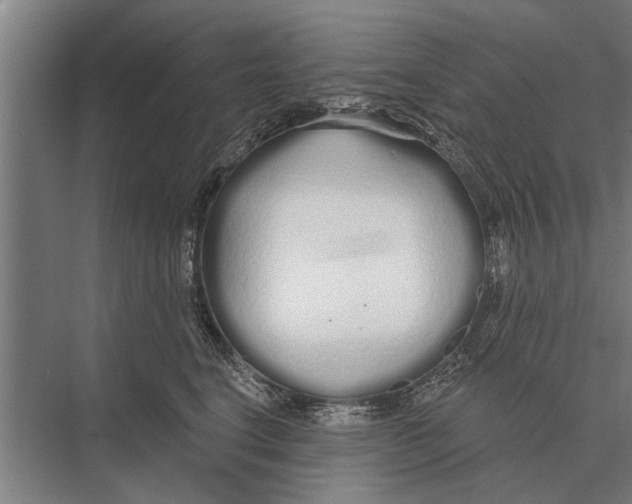 X0000075400664200610061932