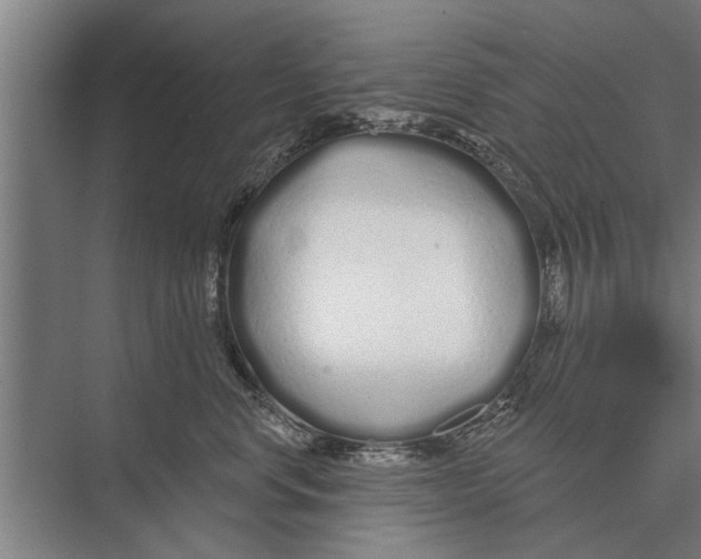 X0000075400668200610061932