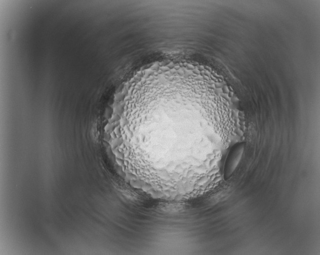 X0000075400671200610061932