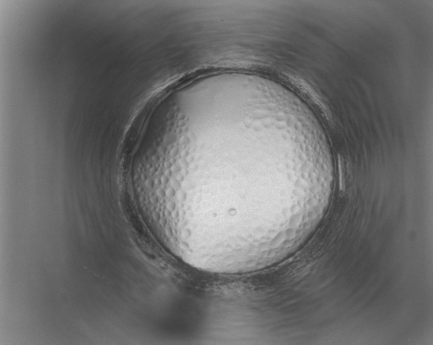 X0000075400675200610061931