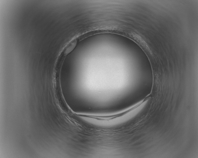 X0000075400676200610061931