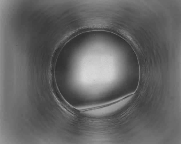 X0000075400677200610061931