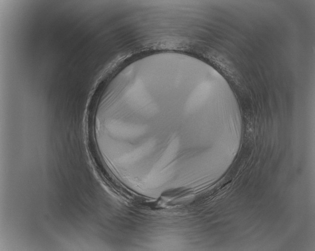 X0000075400678200610061931