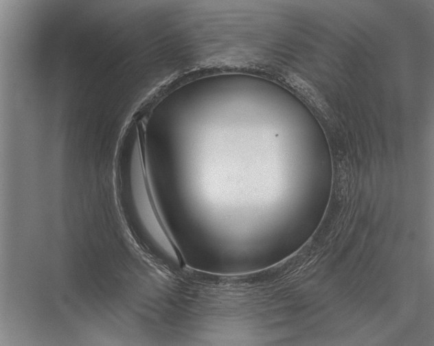X0000075400680200610061931