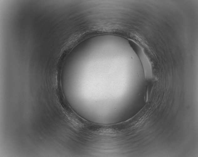 X0000075400685200610061931