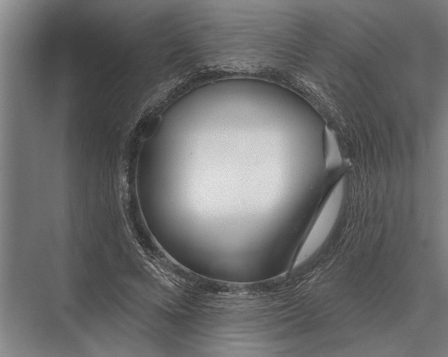 X0000075400688200610061931