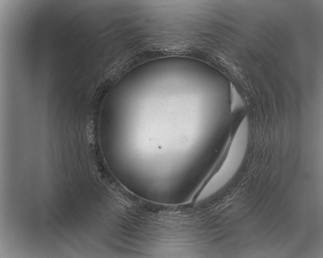 X0000075400689200610061931