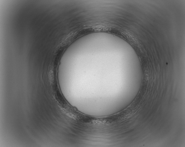X0000075400690200610061931