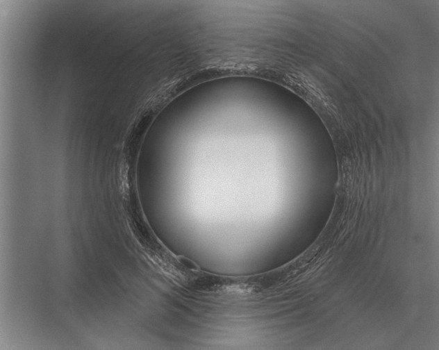X0000075400692200610061931