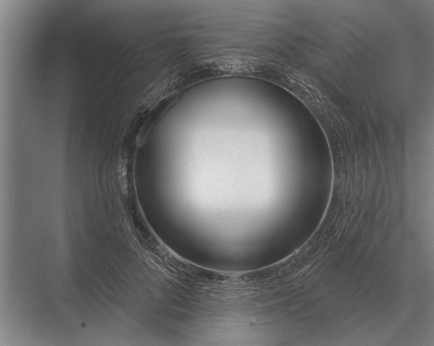 X0000075400696200610061931