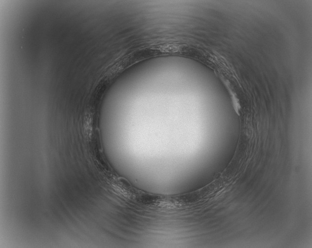 X0000075400697200610061931