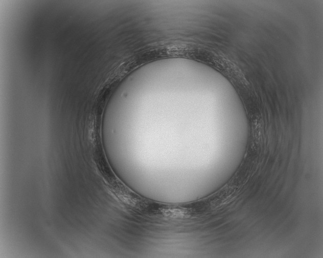 X0000075400698200610061931