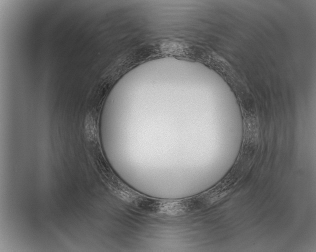 X0000075400705200610061931