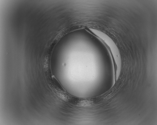 X0000075400708200610061931