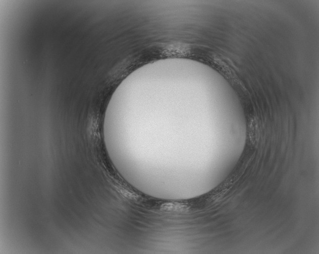 X0000075400714200610061931