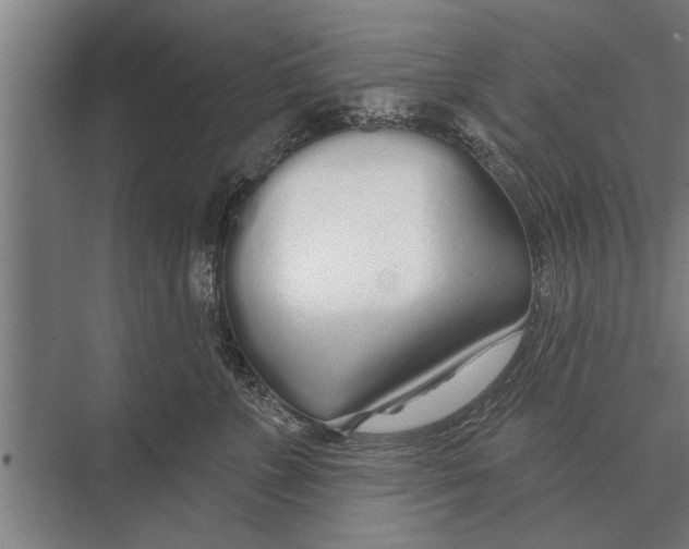 X0000075400715200610061931
