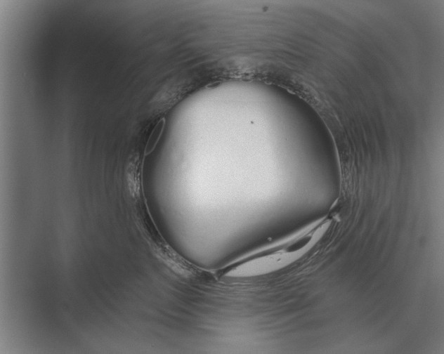 X0000075400719200610061931