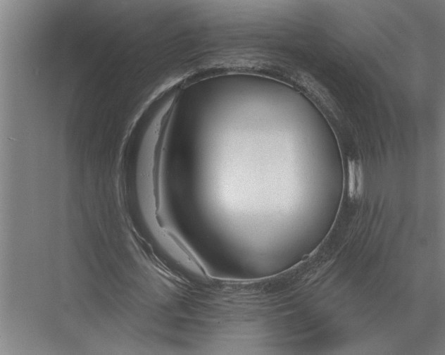 X0000075400723200610061930
