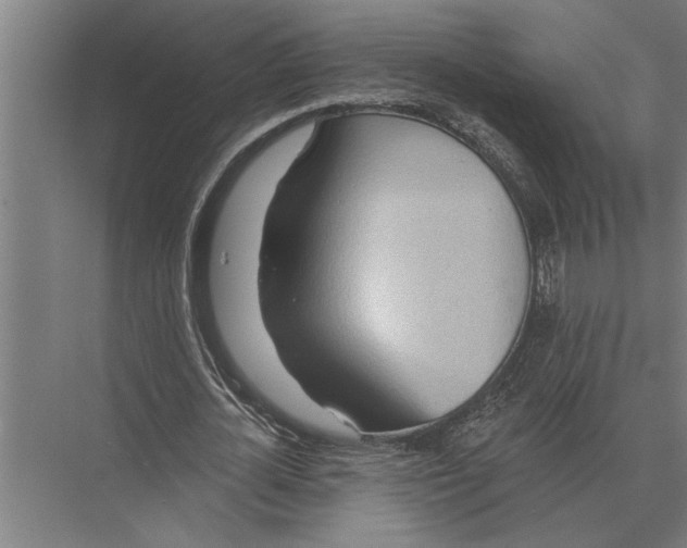 X0000075400724200610061930