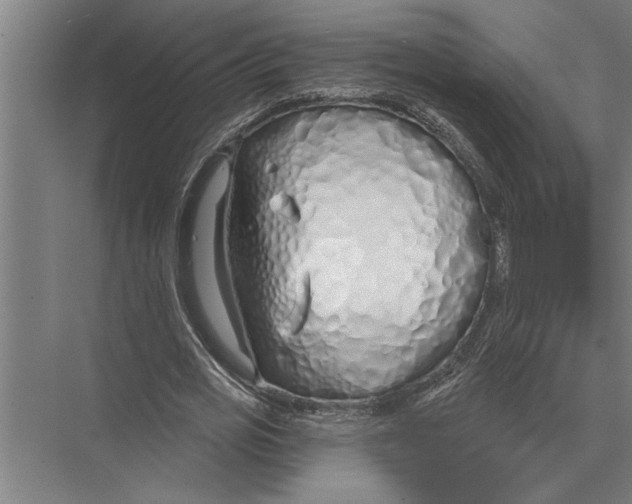 X0000075400725200610061930