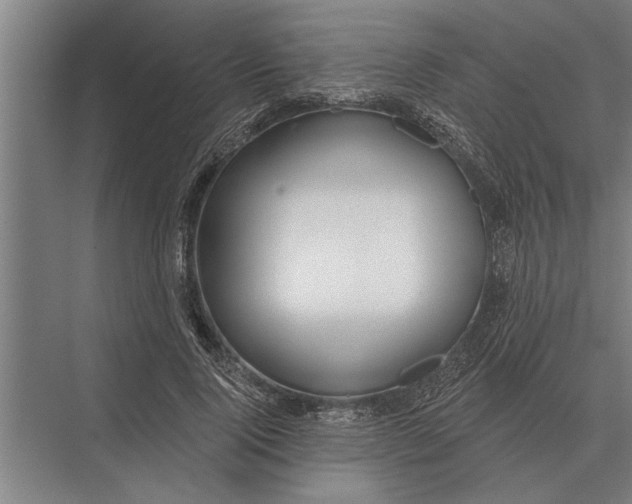X0000075400740200610061930