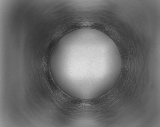 X0000075400743200610061930