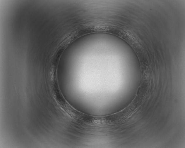 X0000075400744200610061930