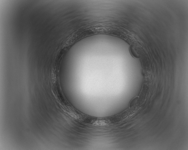 X0000075400751200610061930