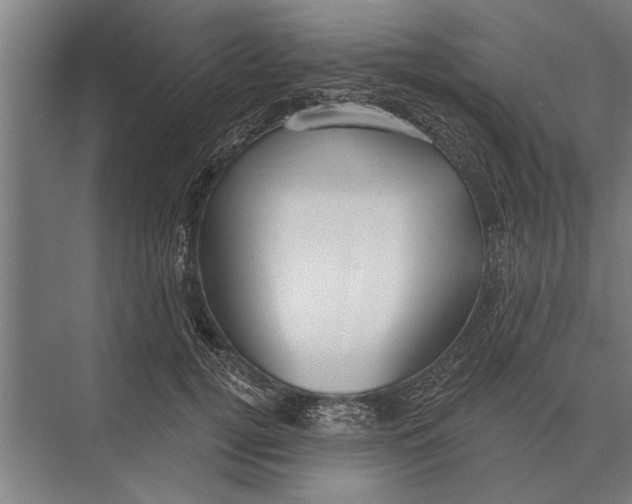 X0000075400752200610061930