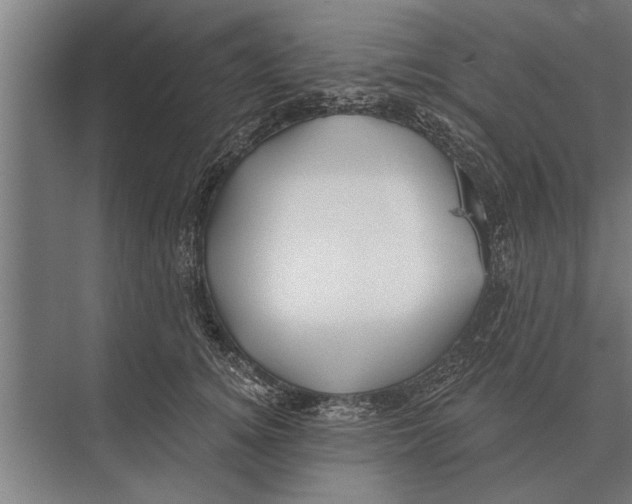 X0000075400756200610061930