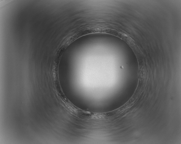 X0000075400762200610061930