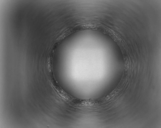 X0000075400764200610061931