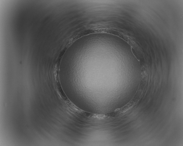 X0000075400767200610061931