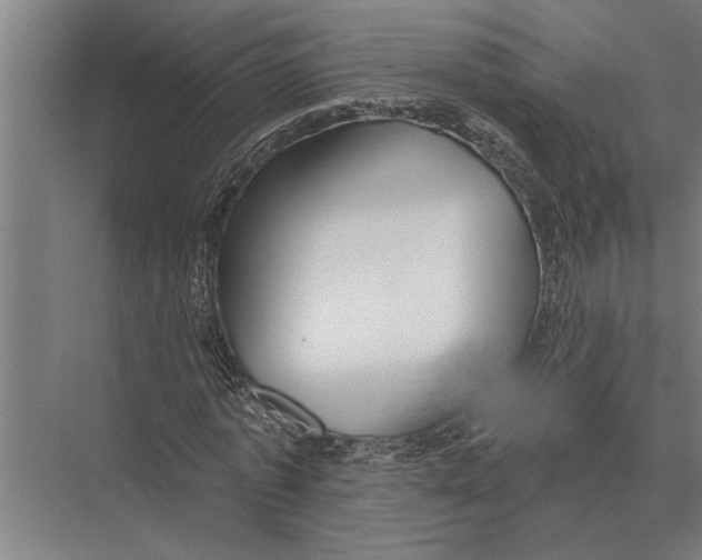 X0000075400773200610061930