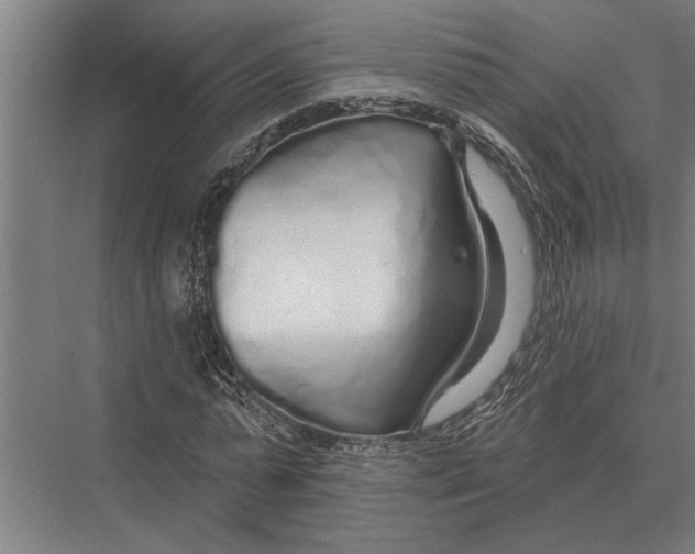 X0000075400775200610061930