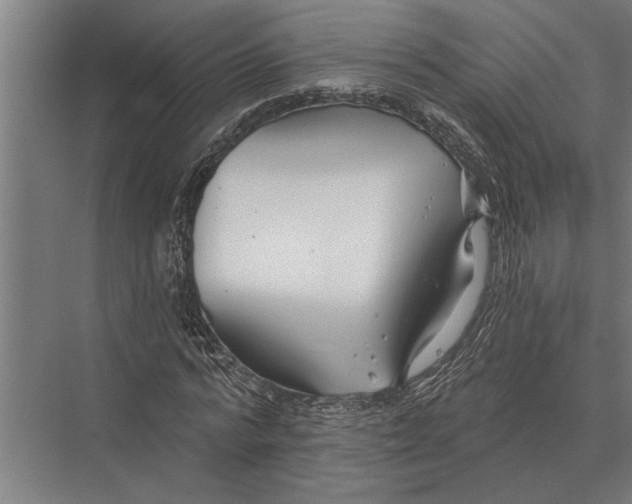 X0000075400776200610061930