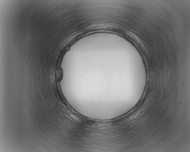 X0000075400778200610061930