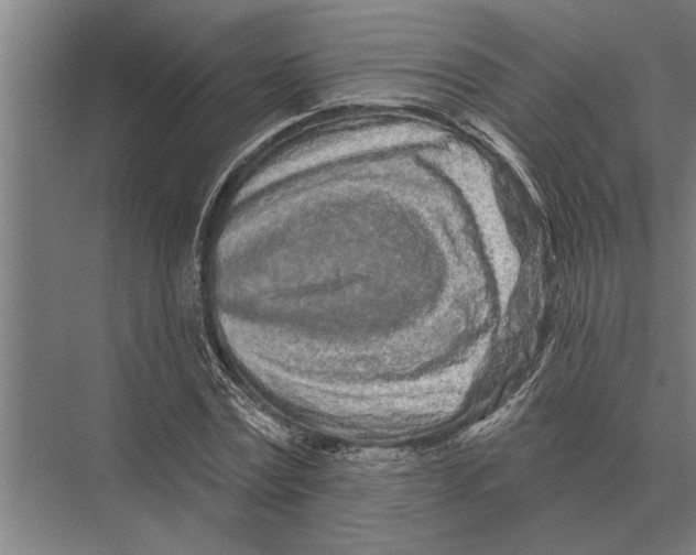 X0000075400779200610061930