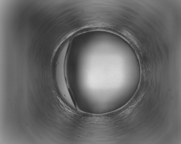 X0000075400781200610061930