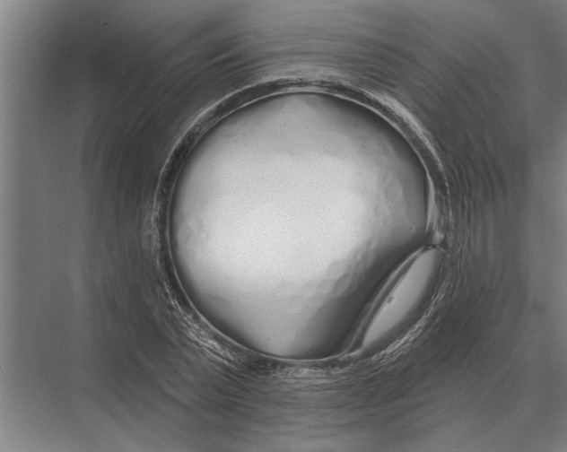 X0000075400783200610061930