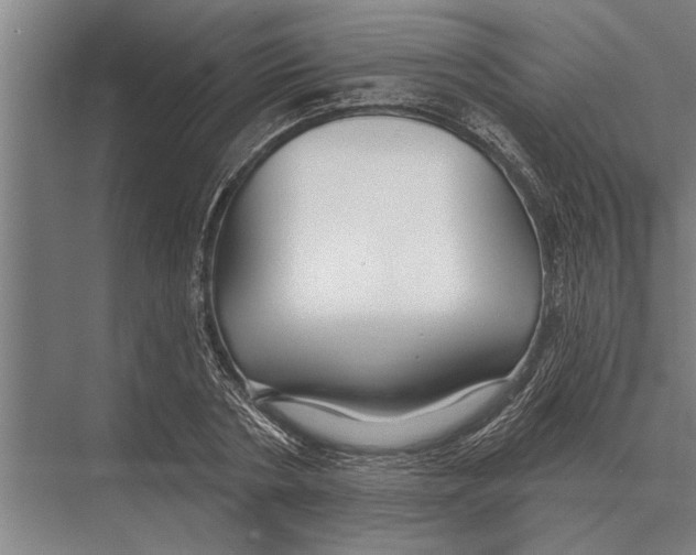 X0000075400786200610061930