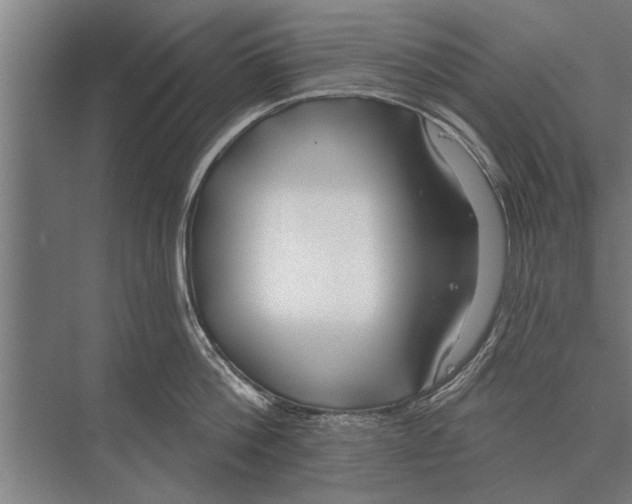 X0000075400812200610061929