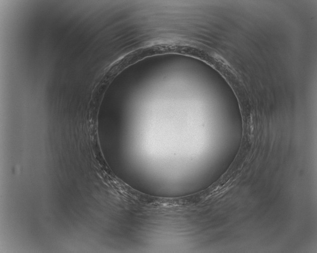 X0000075400822200610061928