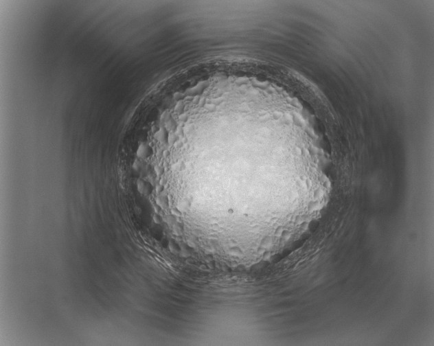 X0000075400823200610061928