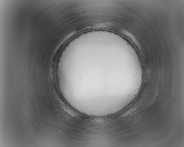 X0000075400827200610061928