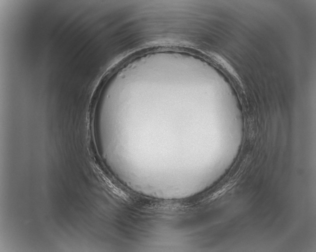 X0000075400831200610061928