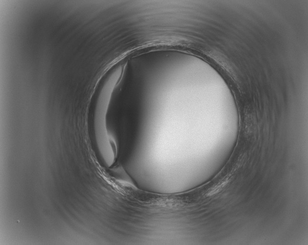 X0000075400834200610061928