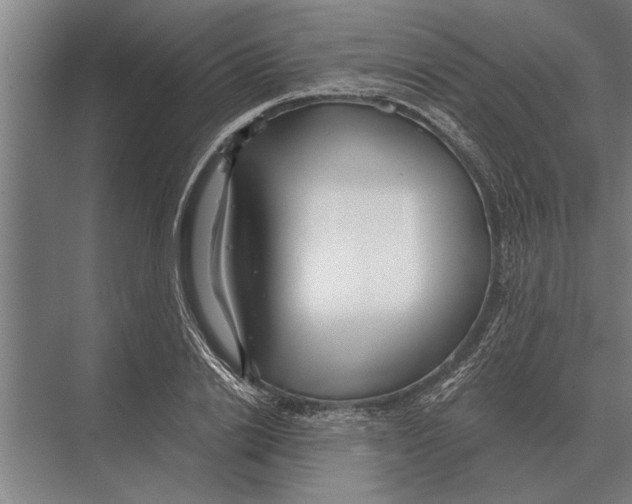 X0000075400838200610061929