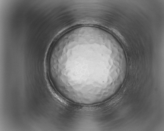 X0000075400840200610061929