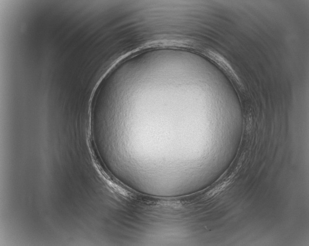 X0000075400844200610061929